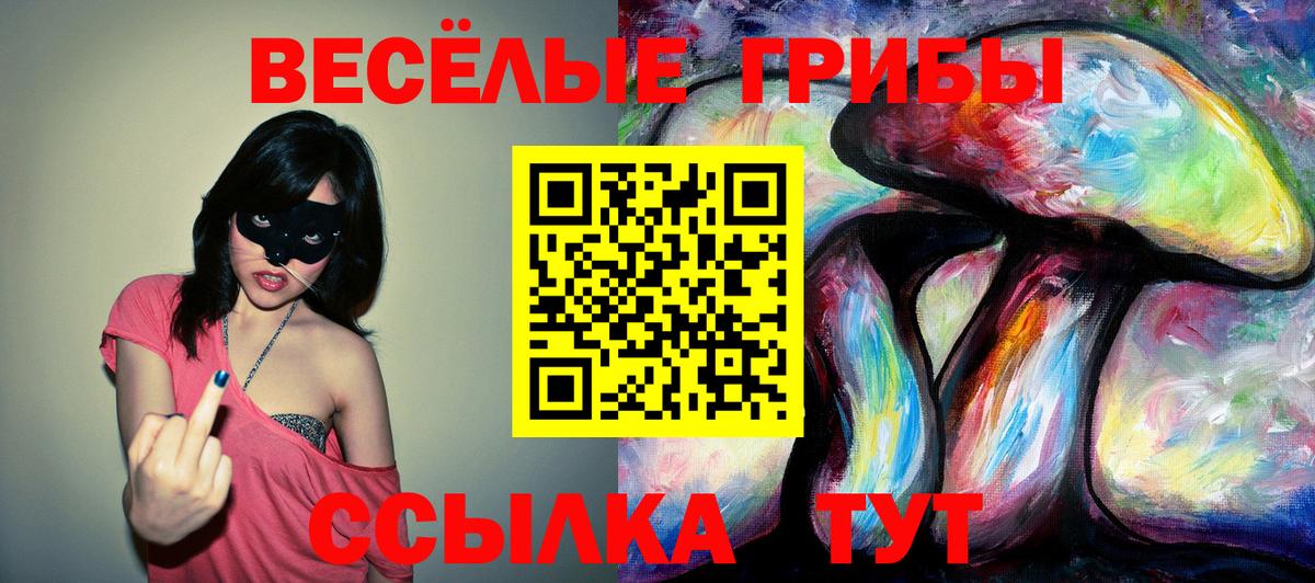 Галлюциногенные грибы Cubensis Куйбышев