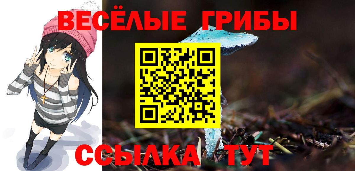 Псилоцибиновые грибы GOLDEN TEACHER  Псилоцибиновые грибы GOLDEN TEACHER  Вход с VPN  Куйбышев 